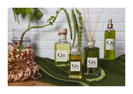 Home Fragrance Diffuser ADEN 500 ml