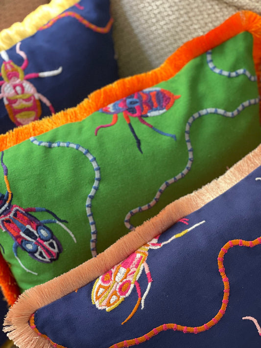 Cushion Jewel Beetles - Blue